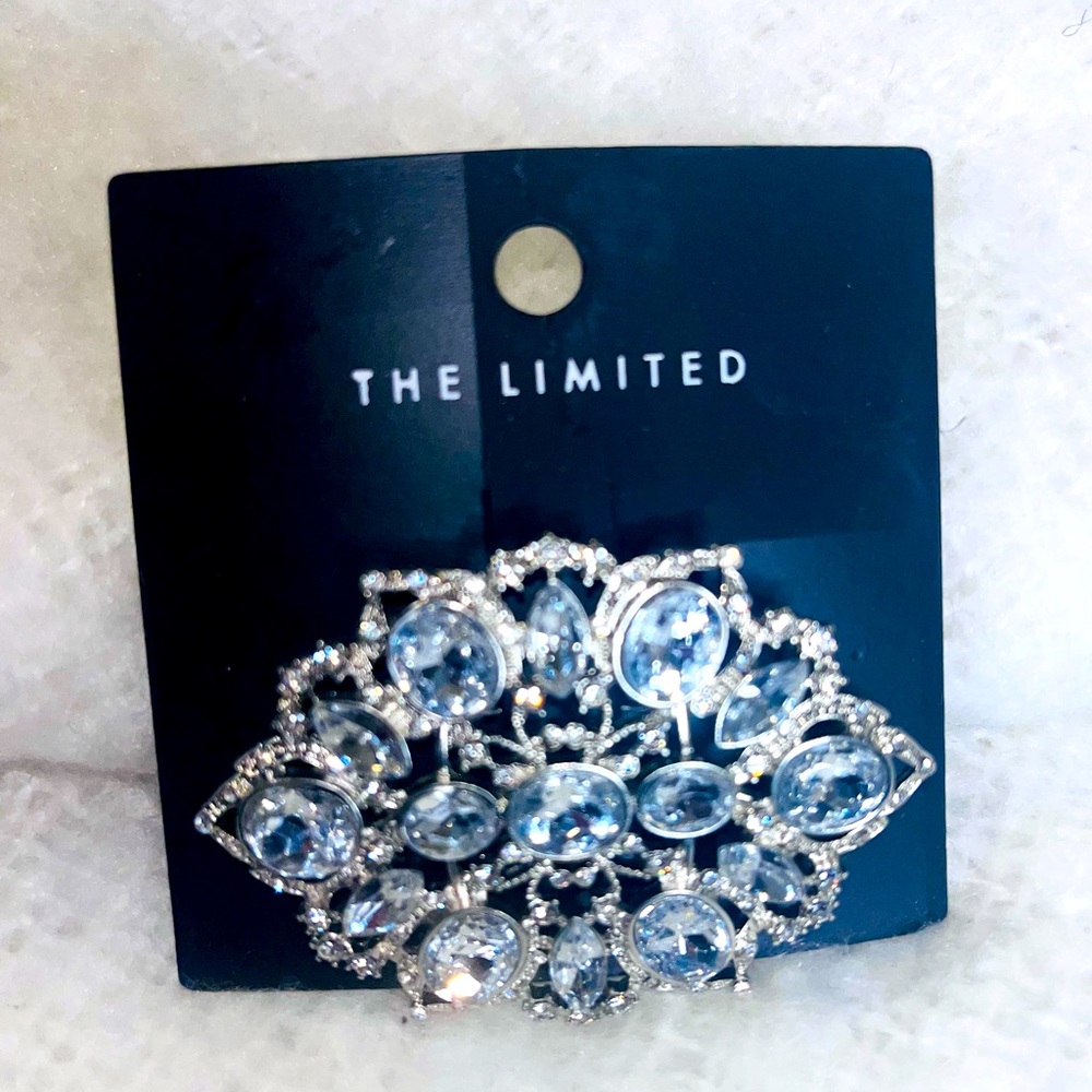 💥NEW💥 NWT The Limited silver and diamond brooch!!